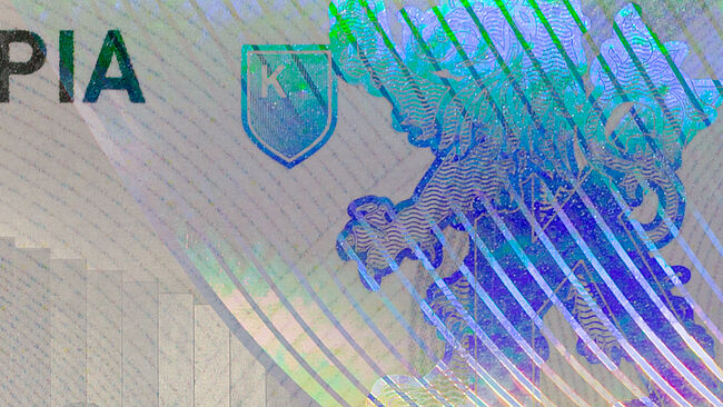 The unique "High Definition Metallization" (HDM) sets new standards in passport verification. Close-up of the unique "High Definition Metallization" technology from OVD Kinegram