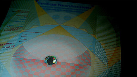 The Netherlands Certificate of Naturalization protected wth a KINEGRAM The Netherlands Certificate of Naturalization protected wth a KINEGRAM